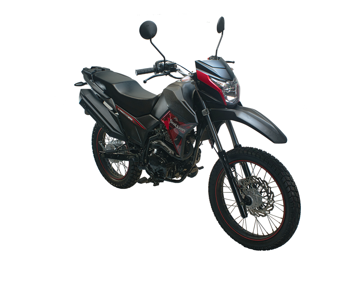 Skygo pony 150cc deals