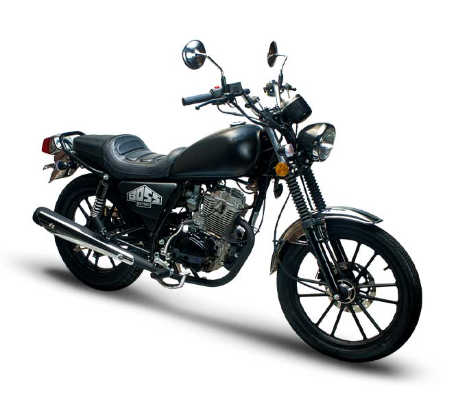 Skygo motorcycle models deals